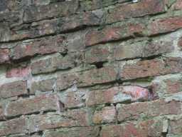 Close up view of brickwork towards the top of the wall of Tanfield Hall November 2016